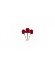SV405 - CHOUPETTE FRAMBOISE