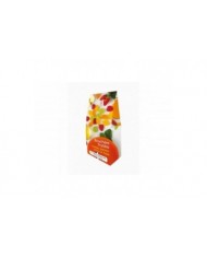 LE483 - POCHETTES BOUCHEES FRUITEES